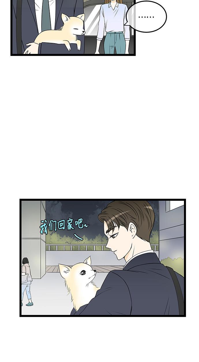 天鹅绒之吻漫画韩漫全集-第37话无删减无遮挡章节图片 