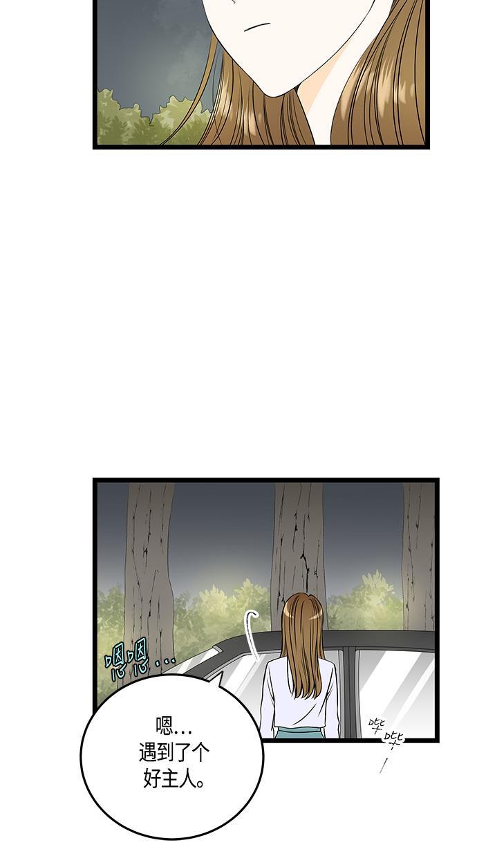 天鹅绒之吻漫画韩漫全集-第37话无删减无遮挡章节图片 