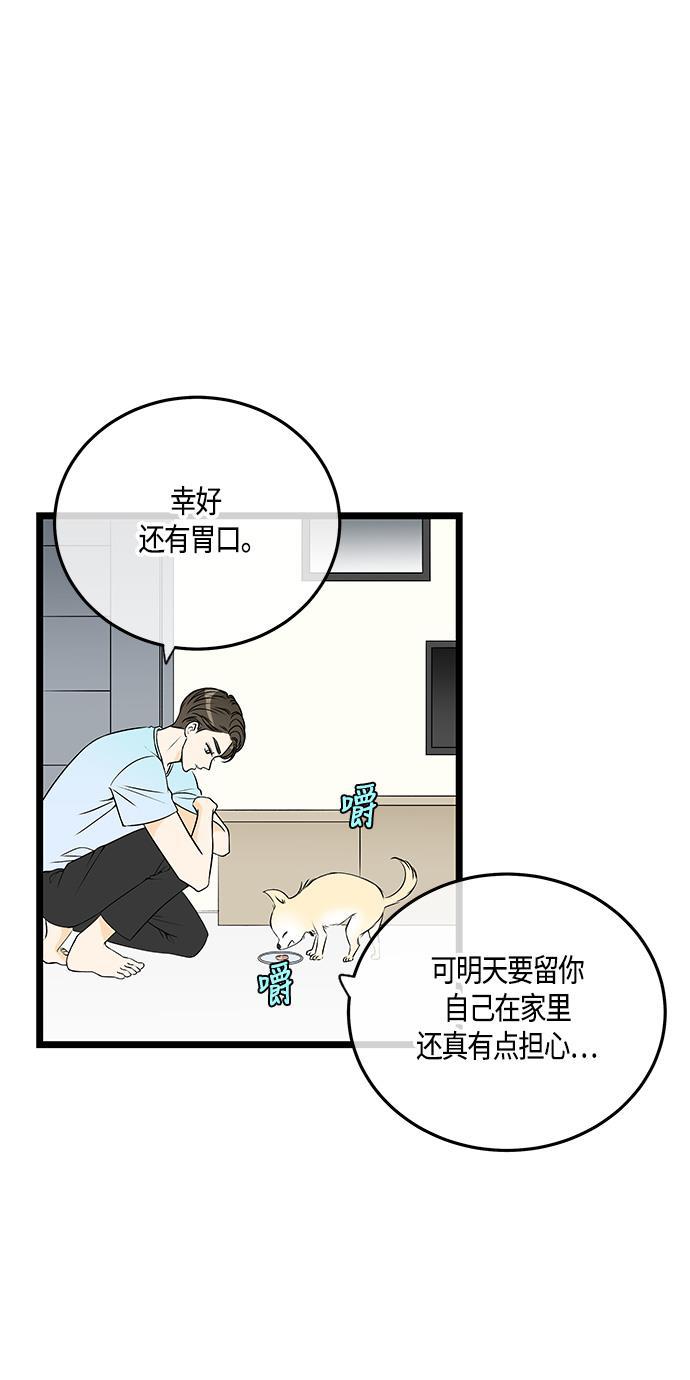 天鹅绒之吻漫画韩漫全集-第37话无删减无遮挡章节图片 