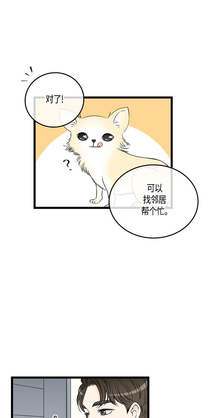 天鹅绒之吻漫画韩漫全集-第37话无删减无遮挡章节图片 