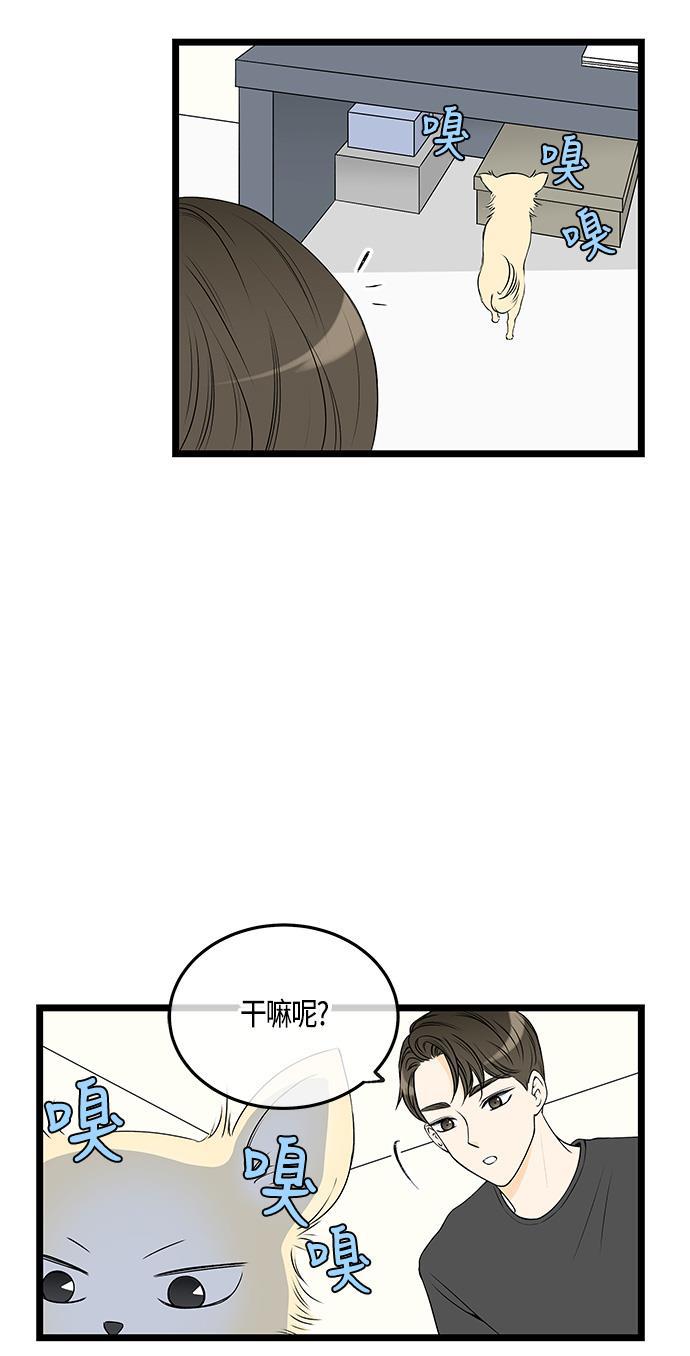 天鹅绒之吻漫画韩漫全集-第39话无删减无遮挡章节图片 