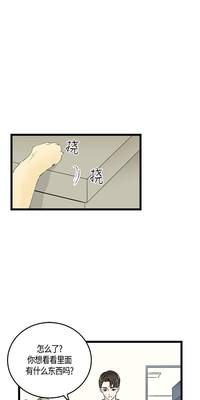 天鹅绒之吻漫画韩漫全集-第39话无删减无遮挡章节图片 