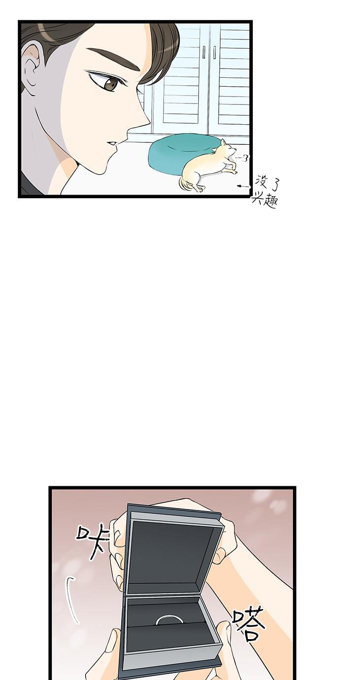 天鹅绒之吻漫画韩漫全集-第39话无删减无遮挡章节图片 