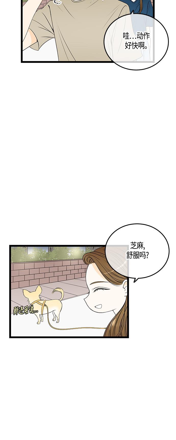 天鹅绒之吻漫画韩漫全集-第40话无删减无遮挡章节图片 