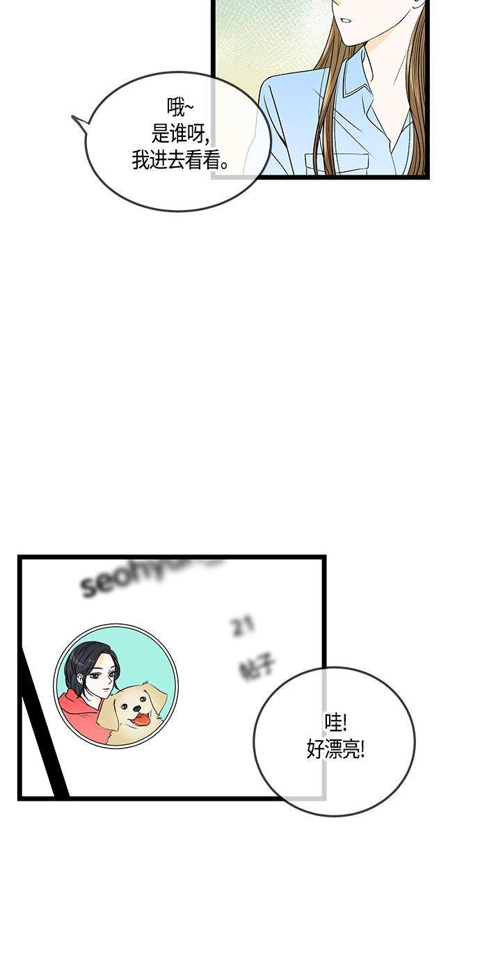 天鹅绒之吻漫画韩漫全集-第41话无删减无遮挡章节图片 