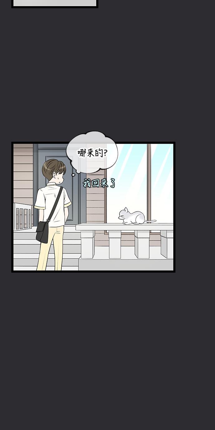 天鹅绒之吻漫画韩漫全集-第47话无删减无遮挡章节图片 