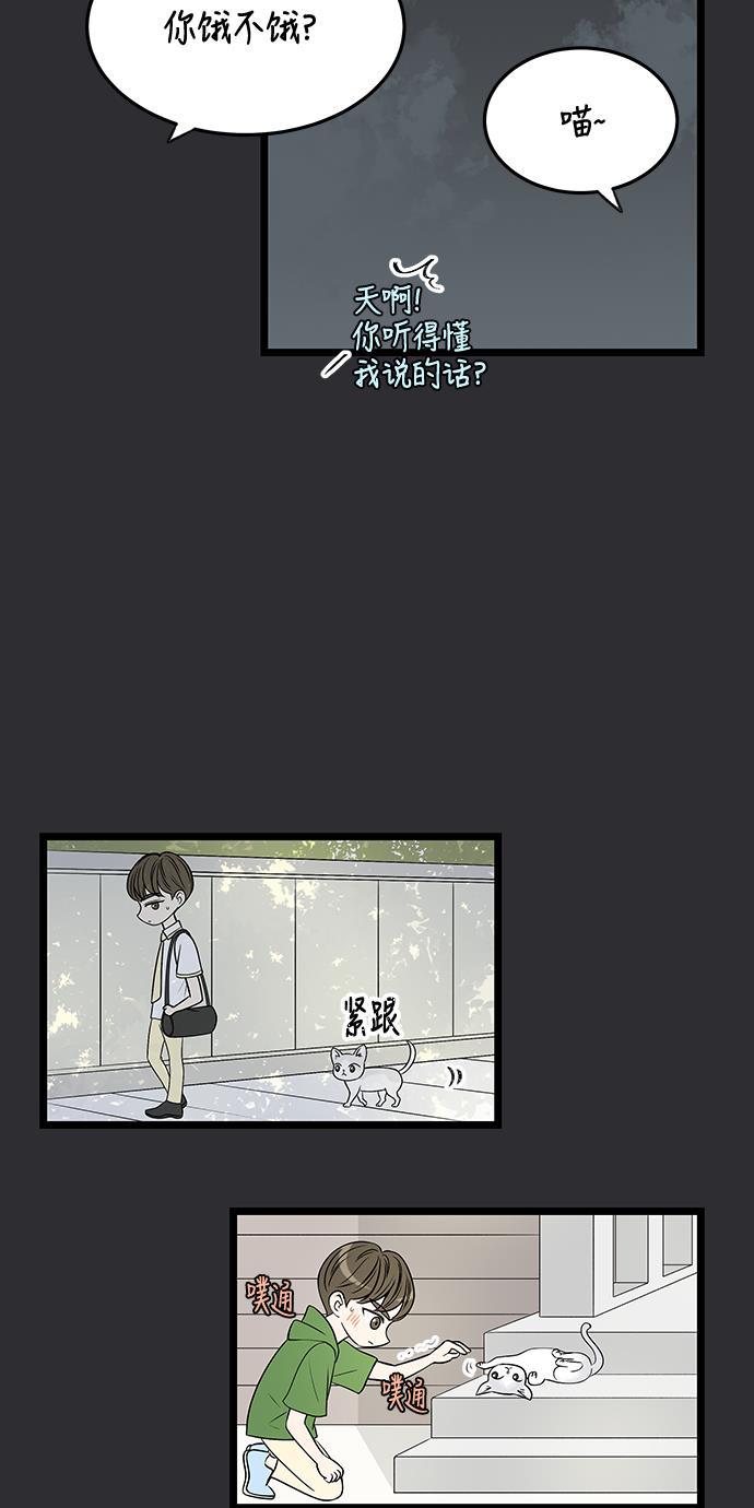 天鹅绒之吻漫画韩漫全集-第47话无删减无遮挡章节图片 