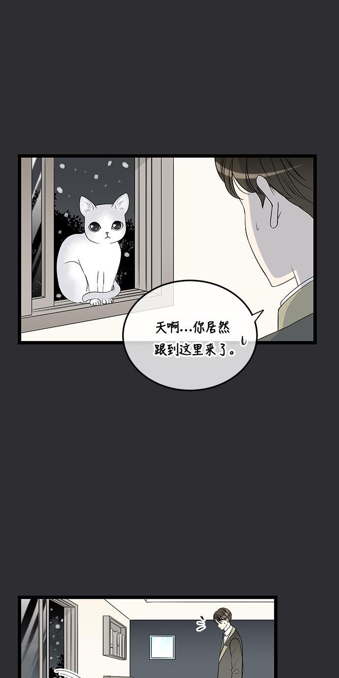 天鹅绒之吻漫画韩漫全集-第47话无删减无遮挡章节图片 