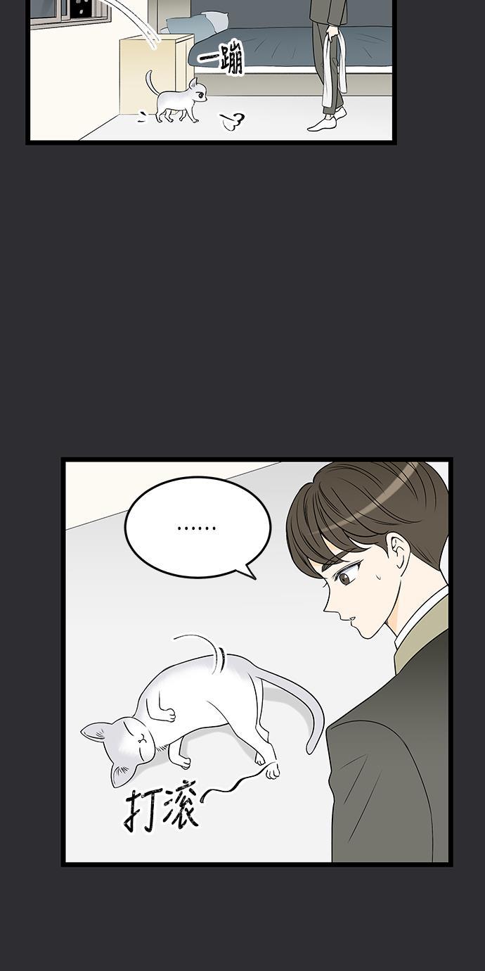 天鹅绒之吻漫画韩漫全集-第47话无删减无遮挡章节图片 