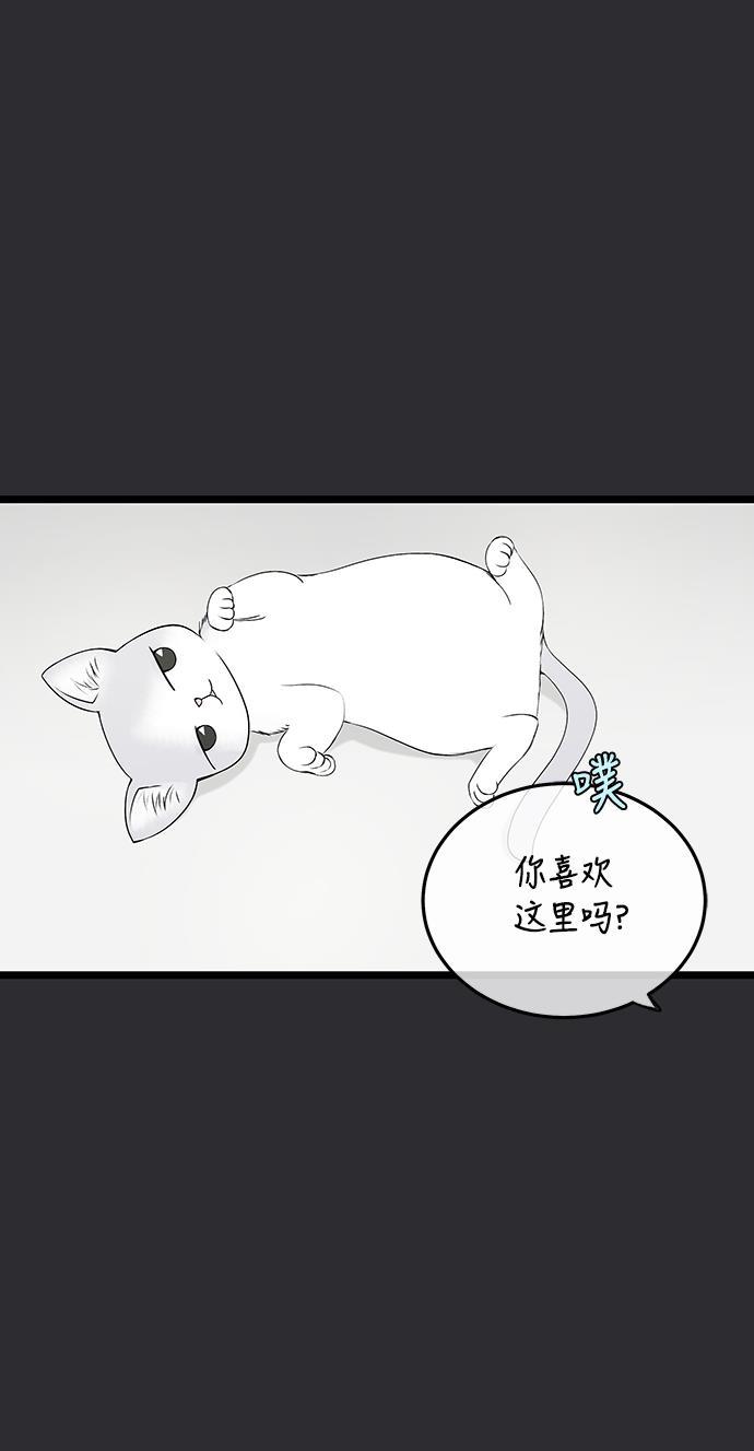 天鹅绒之吻漫画韩漫全集-第47话无删减无遮挡章节图片 