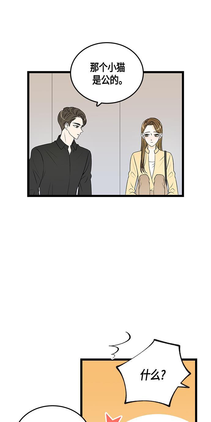 天鹅绒之吻漫画韩漫全集-第47话无删减无遮挡章节图片 