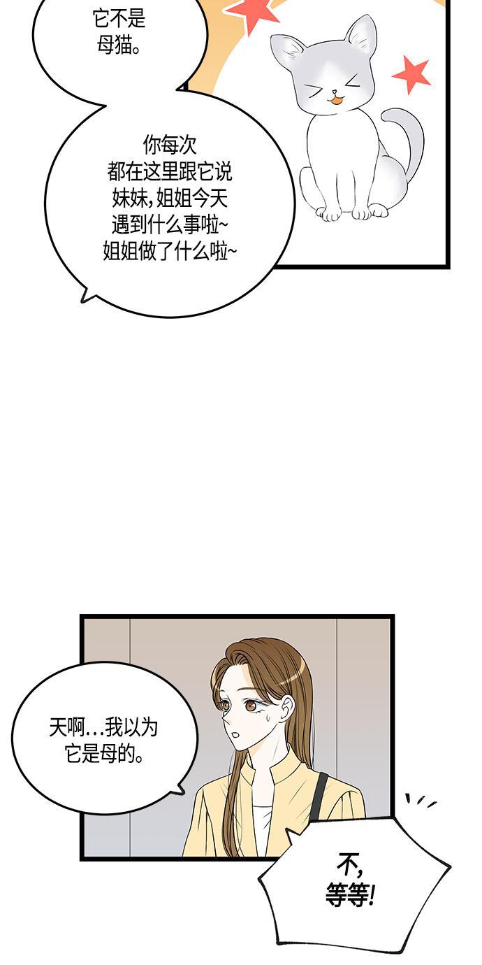 天鹅绒之吻漫画韩漫全集-第47话无删减无遮挡章节图片 