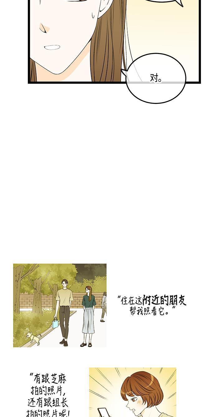 天鹅绒之吻漫画韩漫全集-第50话无删减无遮挡章节图片 