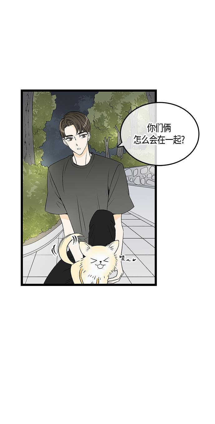 天鹅绒之吻漫画韩漫全集-第50话无删减无遮挡章节图片 