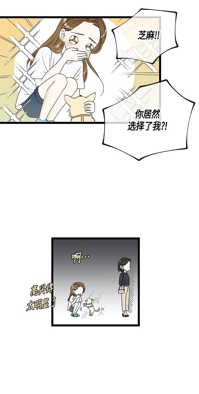 天鹅绒之吻漫画韩漫全集-第51话无删减无遮挡章节图片 