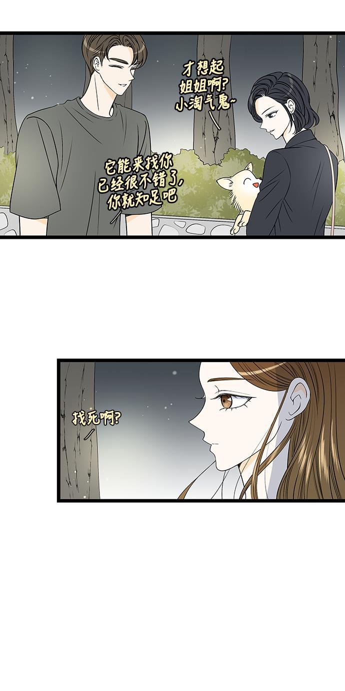 天鹅绒之吻漫画韩漫全集-第51话无删减无遮挡章节图片 