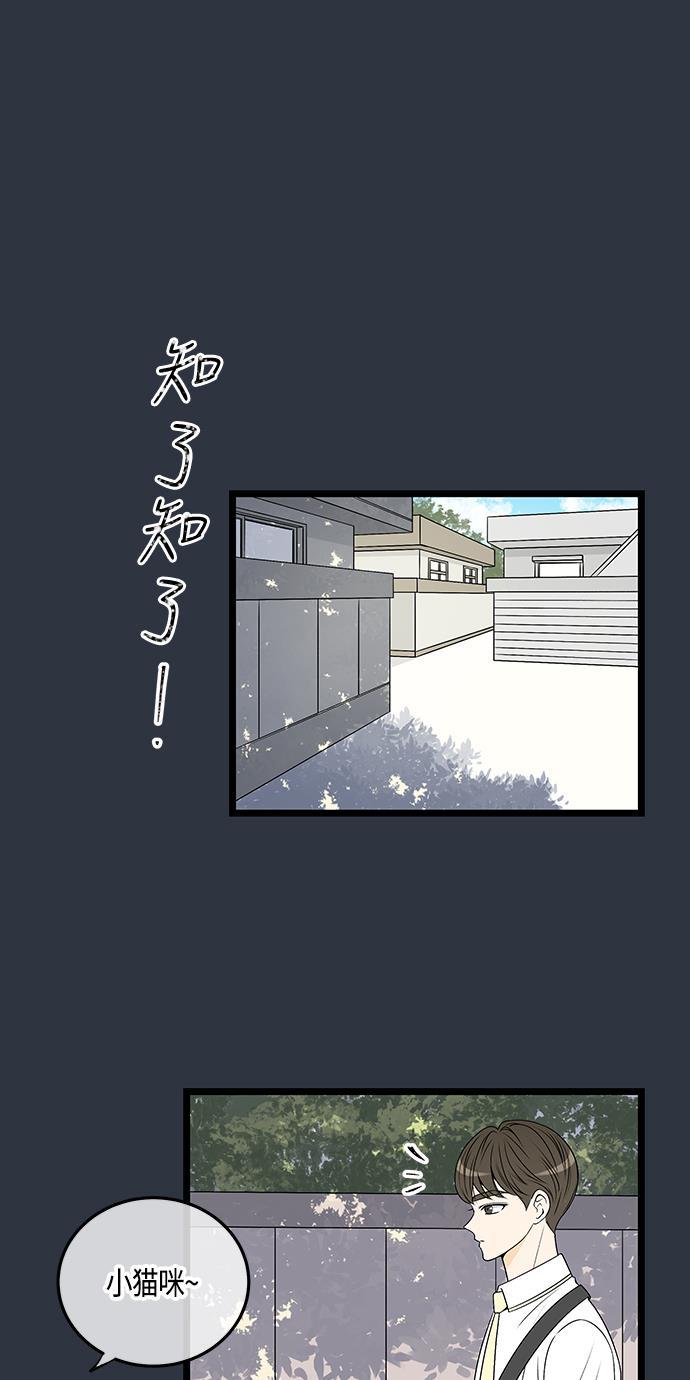 天鹅绒之吻漫画韩漫全集-第59话无删减无遮挡章节图片 