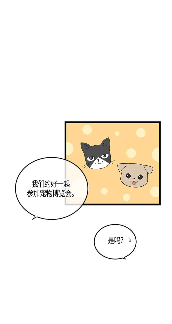 天鹅绒之吻漫画韩漫全集-第60话无删减无遮挡章节图片 