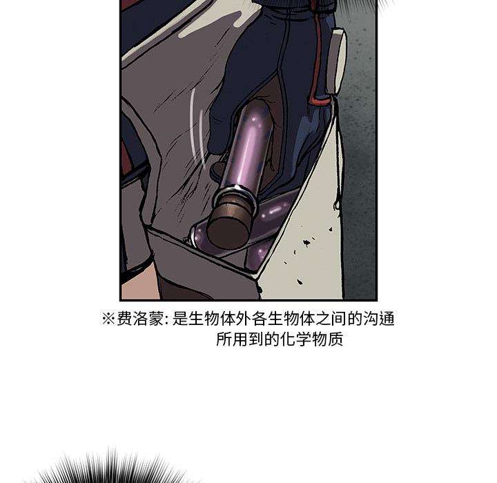 至高指令漫画韩漫全集-第34话无删减无遮挡章节图片 