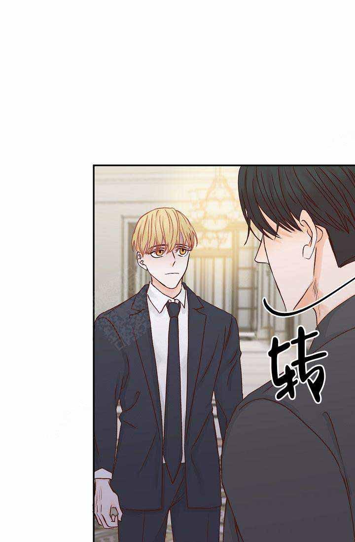 舞法天女漫画韩漫全集-第28话无删减无遮挡章节图片 