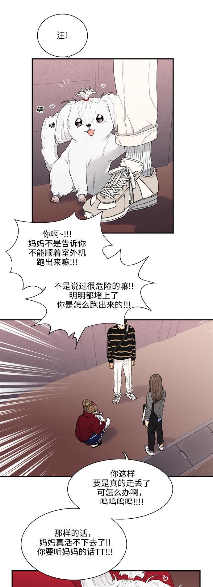 比翼之漫画漫画大全集韩漫全集-第10话无删减无遮挡章节图片 