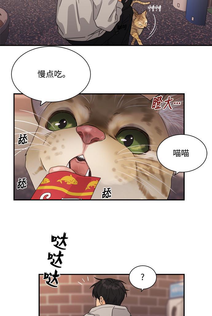 比翼之漫画漫画大全集韩漫全集-第17话无删减无遮挡章节图片 