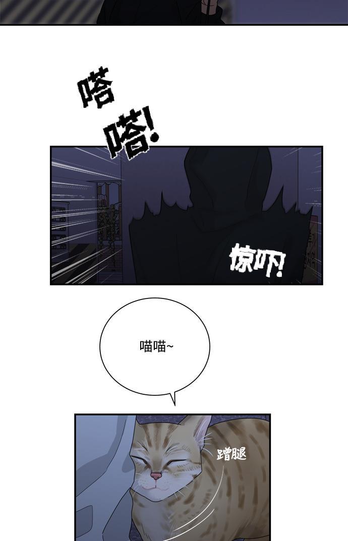 比翼之漫画漫画大全集韩漫全集-第19话无删减无遮挡章节图片 