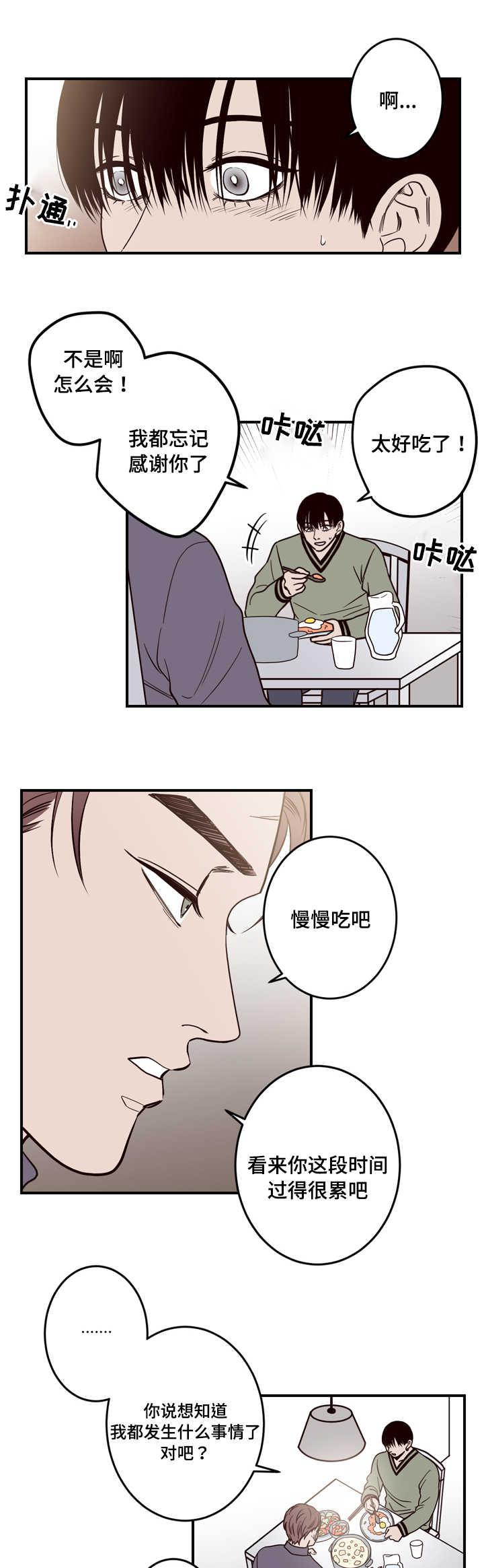 惹上首席总裁漫画全集免费韩漫全集-5_5话无删减无遮挡章节图片 