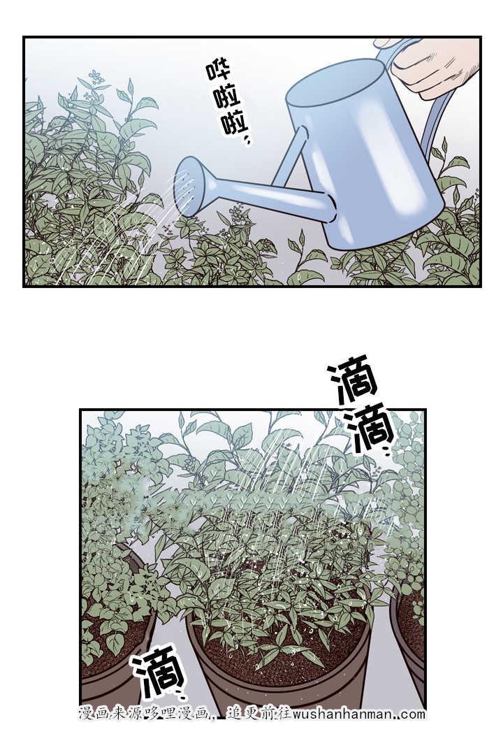 惹上首席总裁漫画全集免费韩漫全集-13_13话无删减无遮挡章节图片 