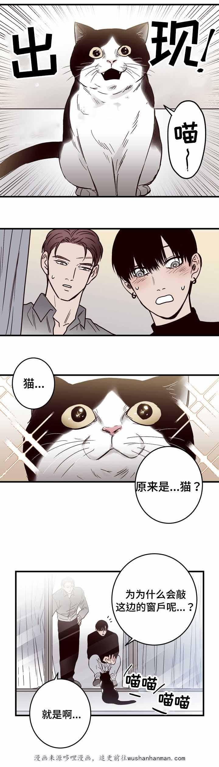 惹上首席总裁漫画全集免费韩漫全集-15_15话无删减无遮挡章节图片 