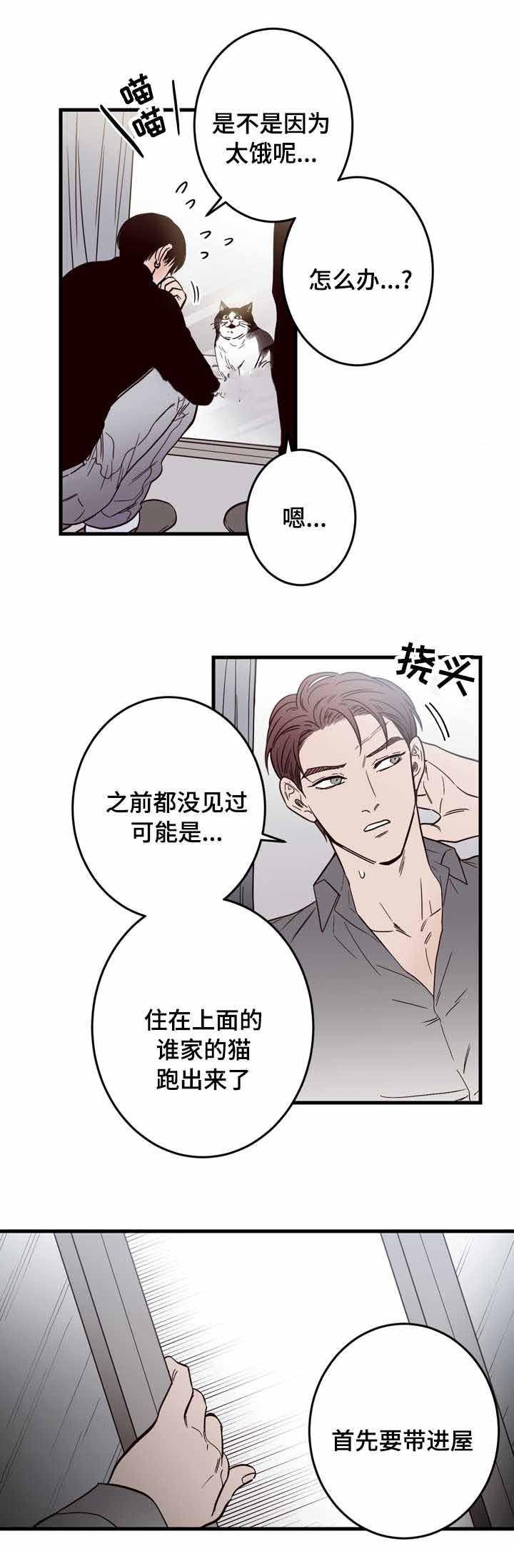 惹上首席总裁漫画全集免费韩漫全集-15_15话无删减无遮挡章节图片 