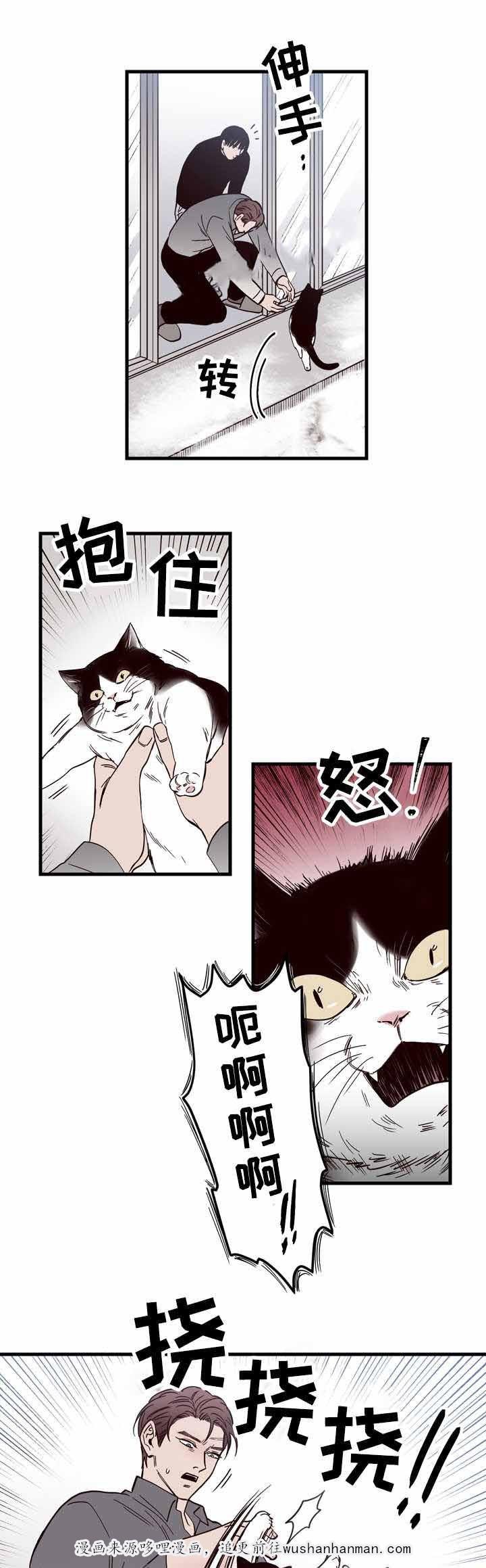 惹上首席总裁漫画全集免费韩漫全集-15_15话无删减无遮挡章节图片 