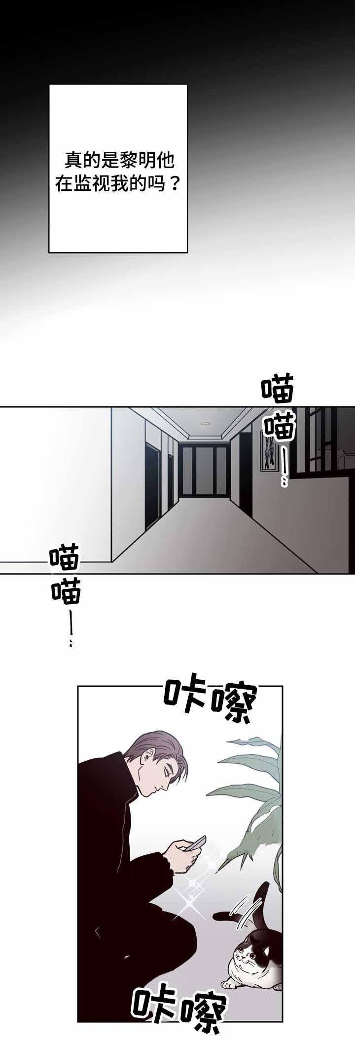 惹上首席总裁漫画全集免费韩漫全集-17_17话无删减无遮挡章节图片 