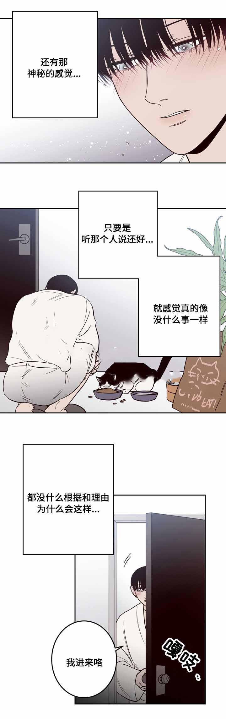 惹上首席总裁漫画全集免费韩漫全集-19_19话无删减无遮挡章节图片 