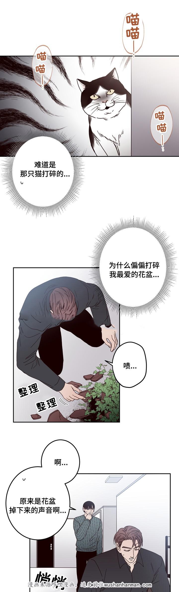 惹上首席总裁漫画全集免费韩漫全集-25_25话无删减无遮挡章节图片 