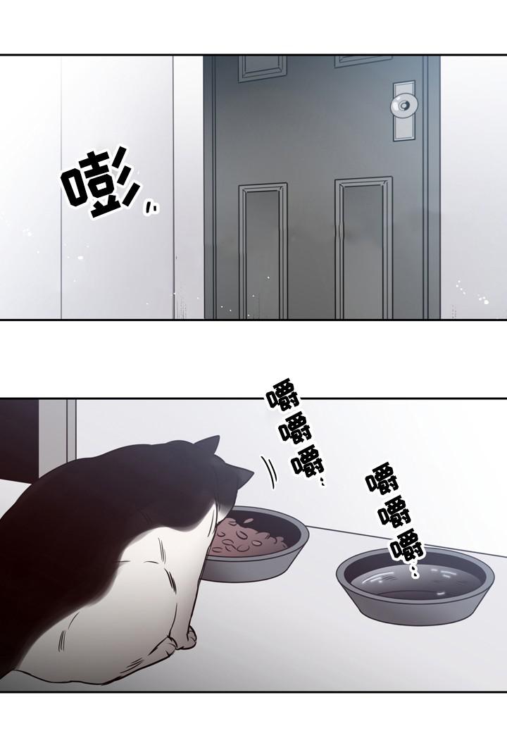 惹上首席总裁漫画全集免费韩漫全集-41_41话无删减无遮挡章节图片 