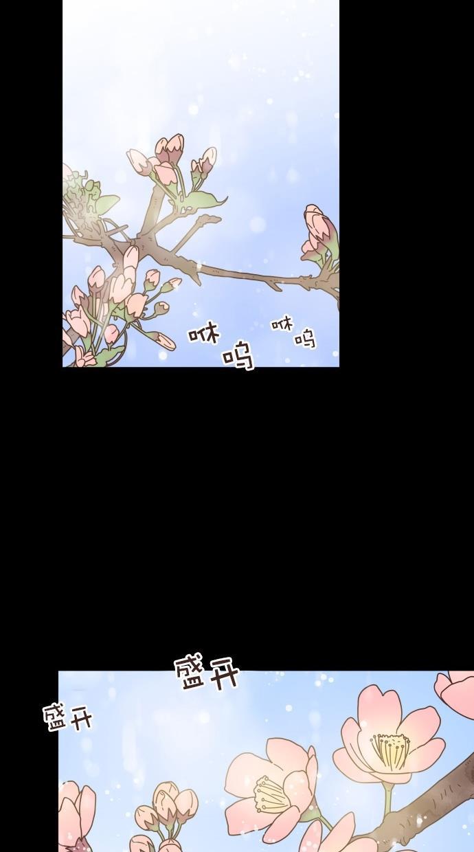 桂正和漫画韩漫全集-第79话无删减无遮挡章节图片 