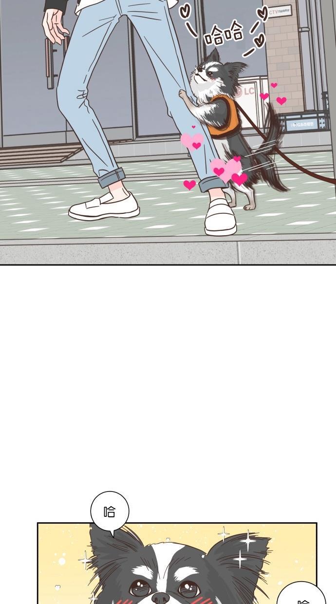 桂正和漫画韩漫全集-第44话无删减无遮挡章节图片 
