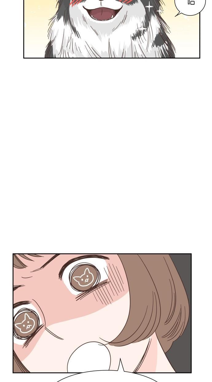 桂正和漫画韩漫全集-第44话无删减无遮挡章节图片 