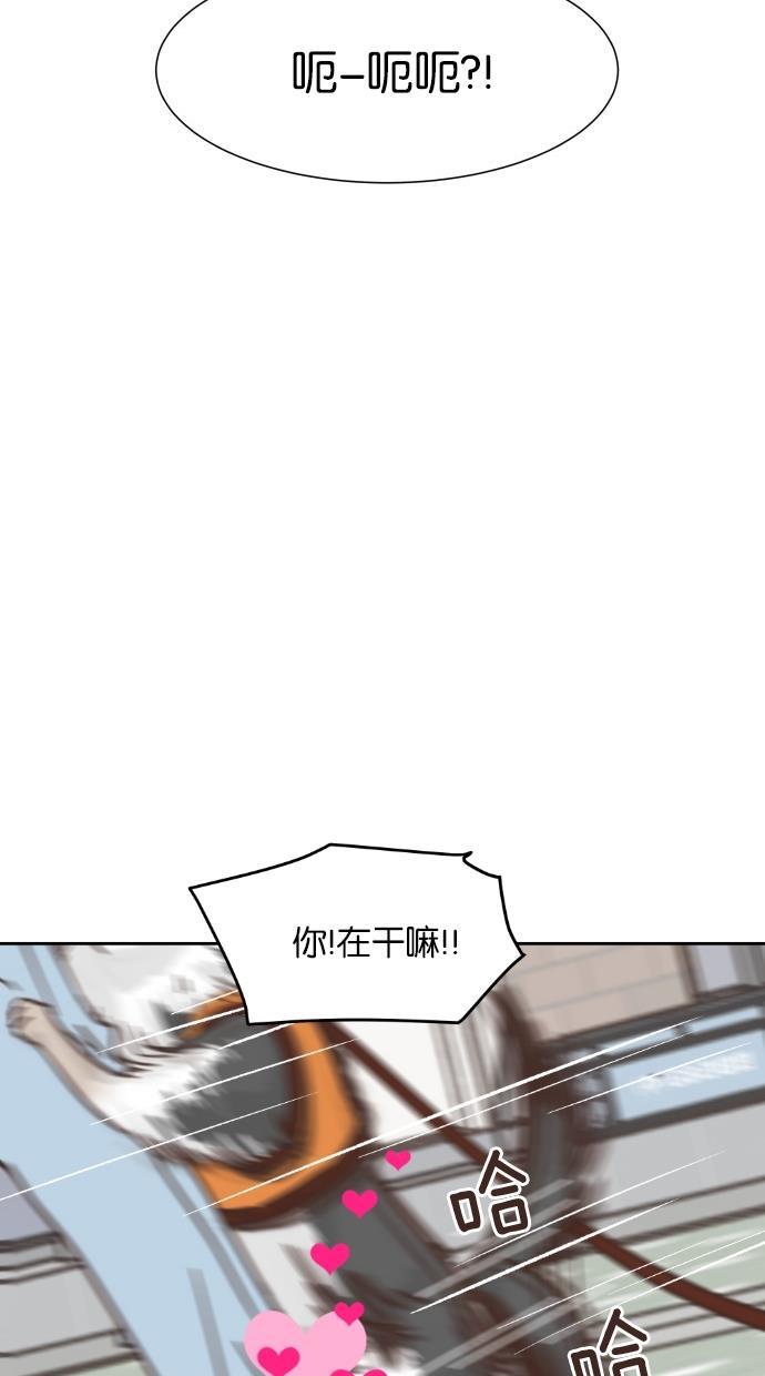 桂正和漫画韩漫全集-第44话无删减无遮挡章节图片 