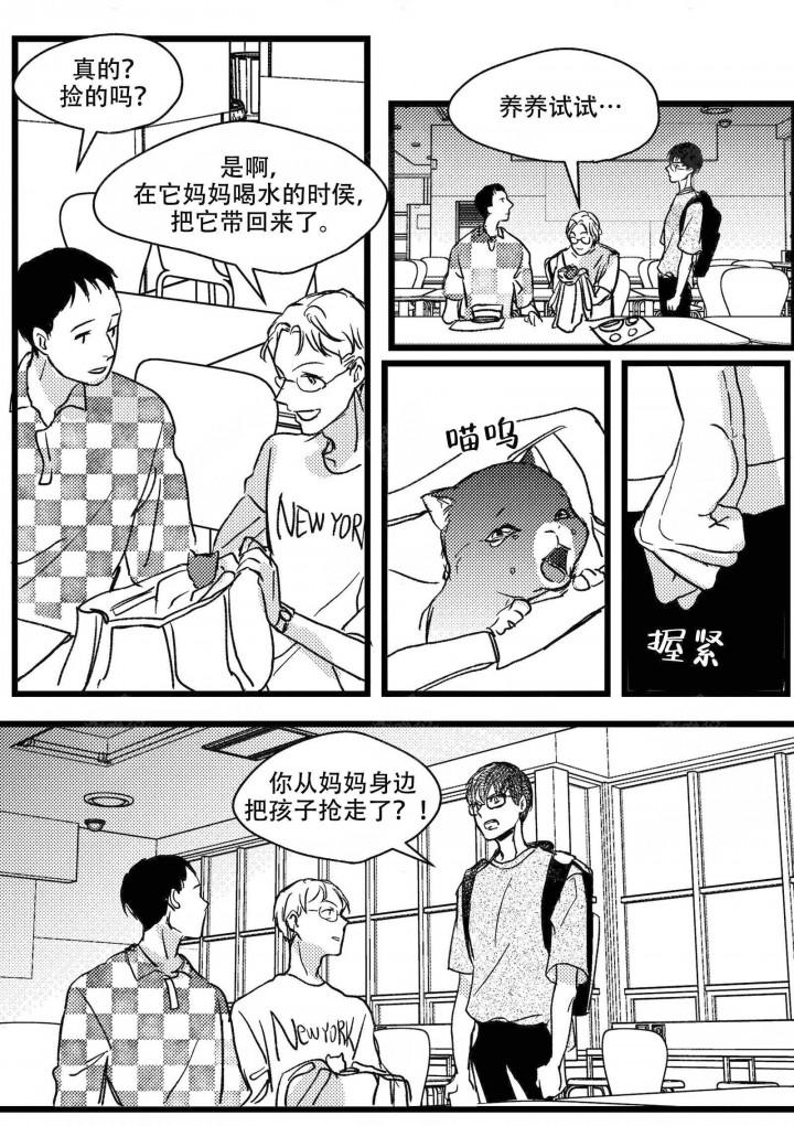 斗罗大陆2绝世唐门漫画韩漫全集-第11话无删减无遮挡章节图片 