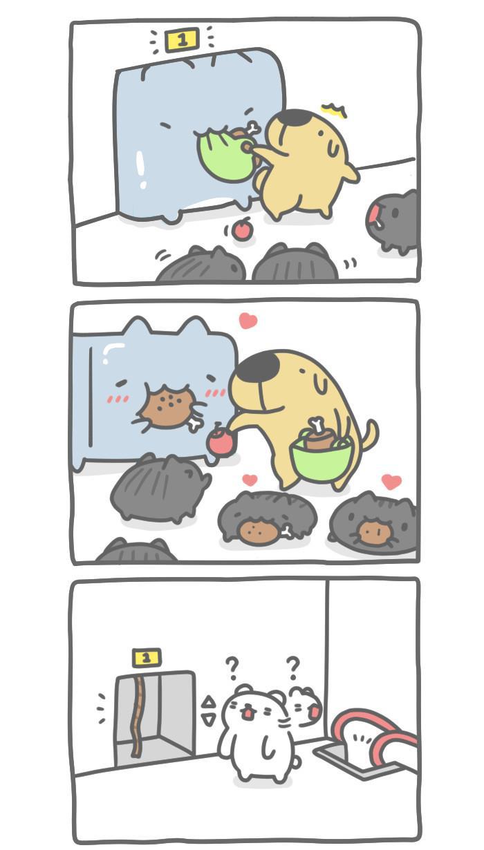 7k7k漫画韩漫全集-[第297话] 电梯猫虫无删减无遮挡章节图片 
