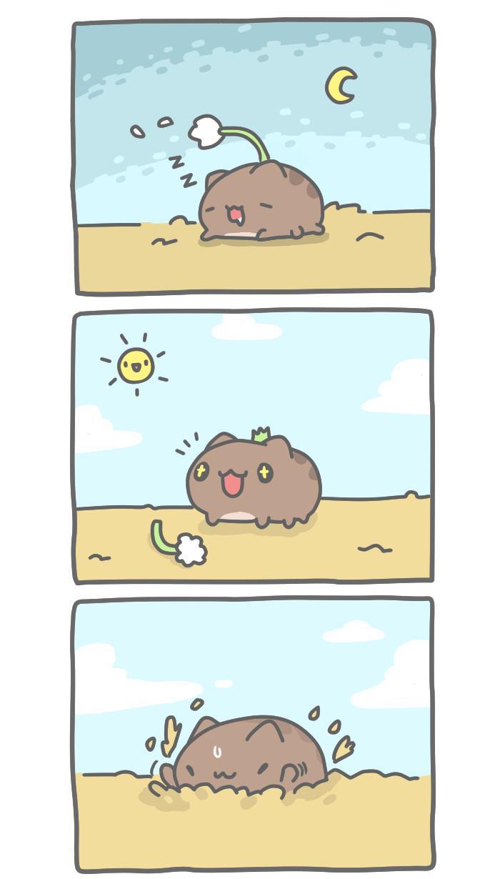 7k7k漫画韩漫全集-[第327话] 蒲公英猫虫无删减无遮挡章节图片 