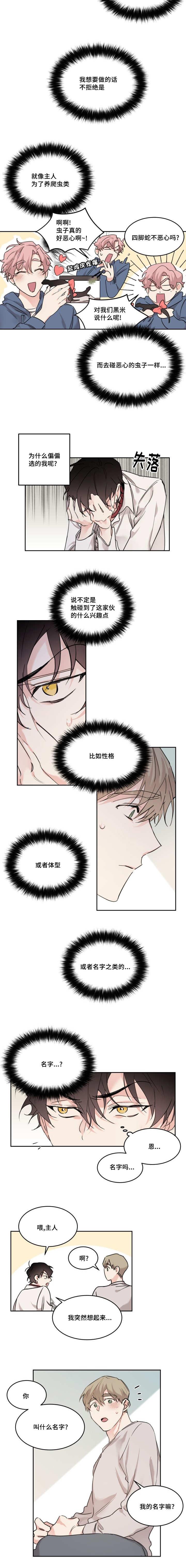 咻咻漫画韩漫全集-17_你的名字无删减无遮挡章节图片 