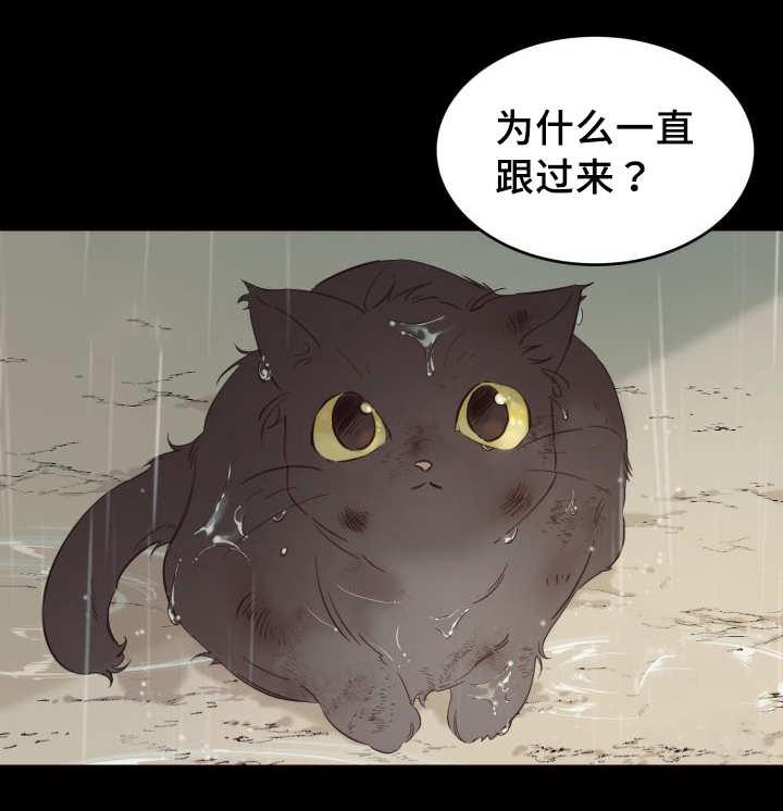 咻咻漫画韩漫全集-26_不然就杀了无删减无遮挡章节图片 