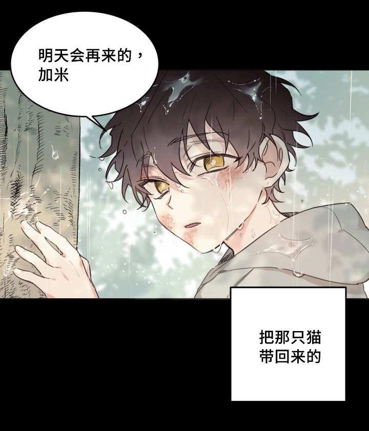 咻咻漫画韩漫全集-27_新的猫咪无删减无遮挡章节图片 