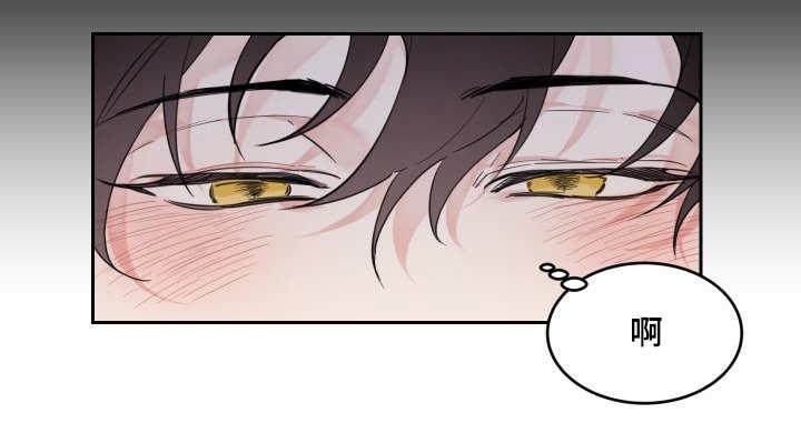 咻咻漫画韩漫全集-27_新的猫咪无删减无遮挡章节图片 