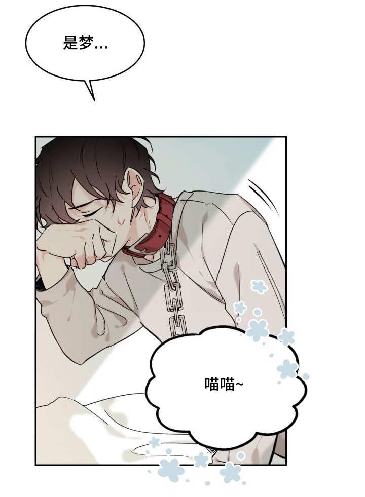 咻咻漫画韩漫全集-27_新的猫咪无删减无遮挡章节图片 