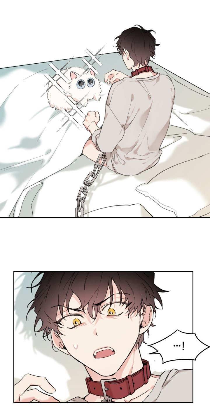 咻咻漫画韩漫全集-27_新的猫咪无删减无遮挡章节图片 