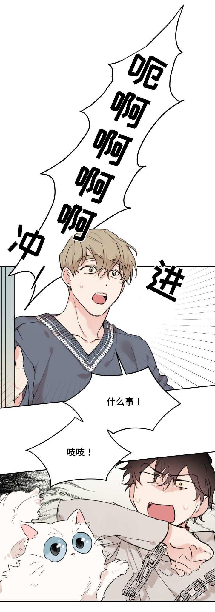 咻咻漫画韩漫全集-27_新的猫咪无删减无遮挡章节图片 